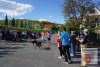 DSC05972_ergebnis