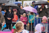 DSC09264_ergebnis