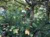 IMG-20190921-WA0013