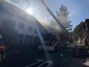 IMG-20190921-WA0020